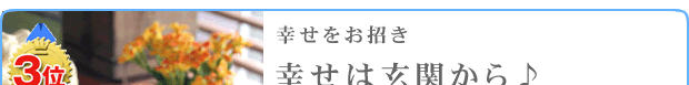 3�ʁ@�z���C�g�����V�[�T�[