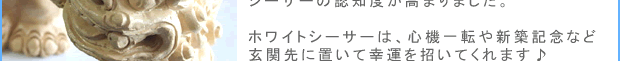 3�ʁ@�z���C�g�����V�[�T�[