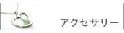 �A�N�Z�T���[