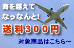 �C���z���āI�Ȃ��Ȃ�ƁI�����R�O�O�~�I