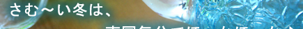 �����G�݂œ썑�C���ɂȂ��ē~�����z���悤�`��