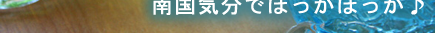 �����G�݂œ썑�C���ɂȂ��ē~�����z���悤�`��