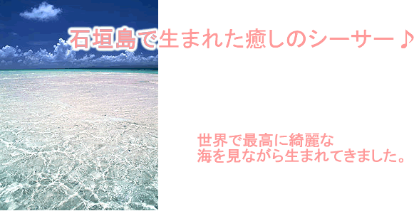 �Ί_���Ő��܂ꂽ�����̃V�[�T�[��@���E�ōō����Y��ȊC�����Ȃ��琶�܂�Ă��܂����B