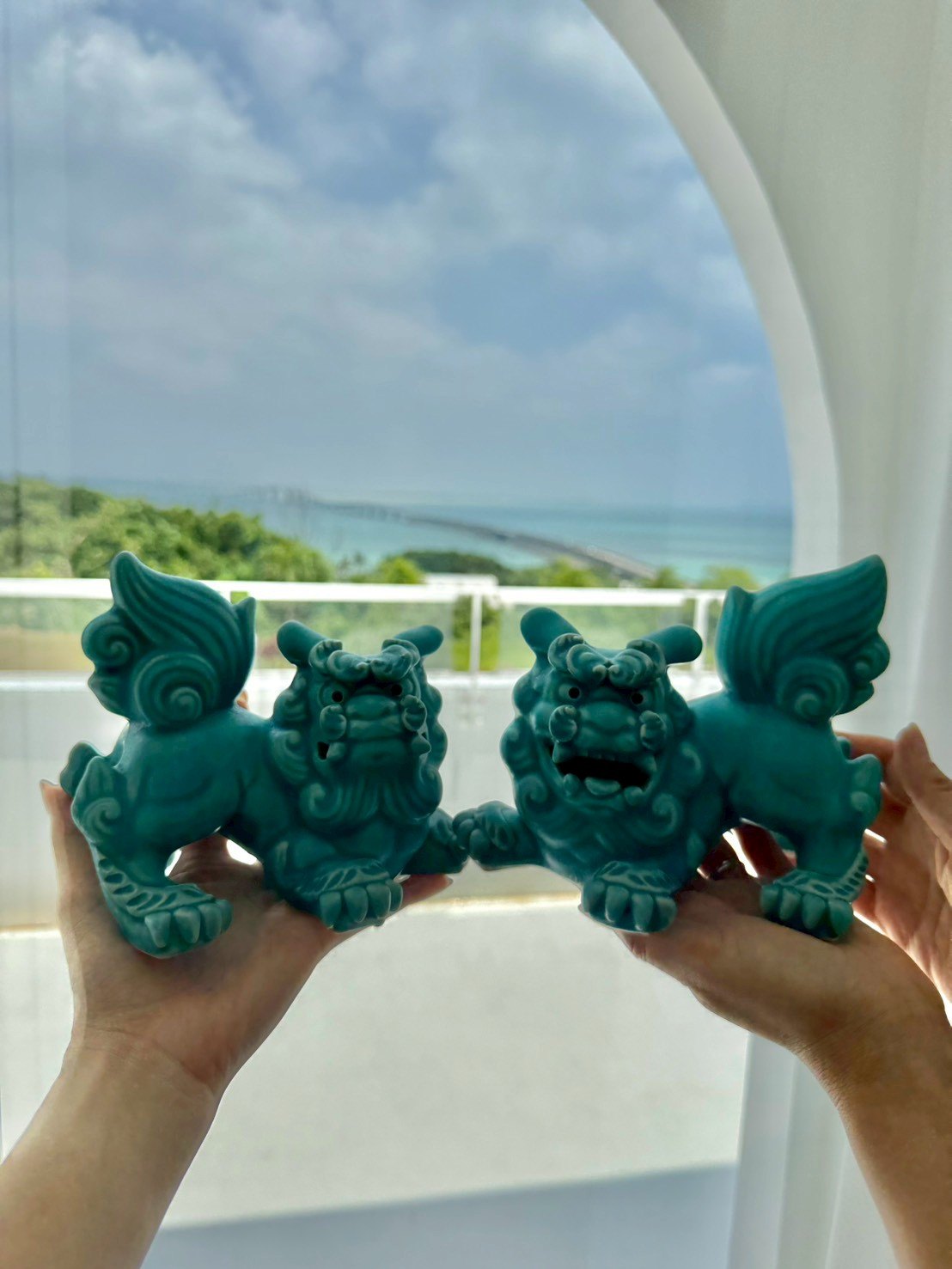 ブルーシーサー(中)「トルコ」を迎えた埼玉県 Y様からのお写真