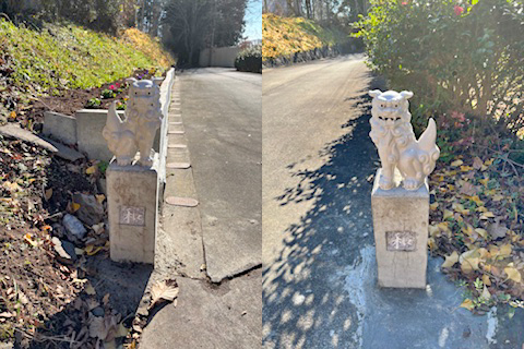 �`�������V�[�T�[�����i���ցj�@��@�{�鏟��Y