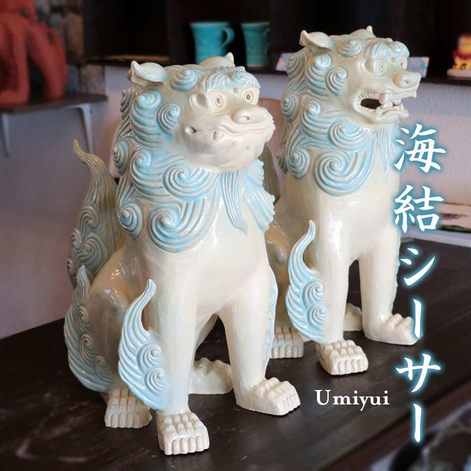 Ci݂䂢jV[T[@H41@@V_M