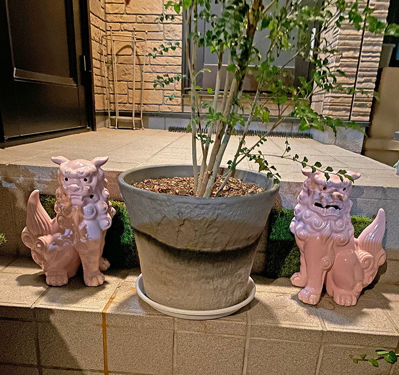 玄関先の植木鉢を挟んで飾られたピンクシーサー