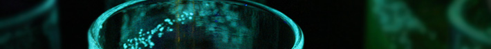 夜はトキメキを感じるグラス/琉球ガラス海蛍ロックグラスの写真01