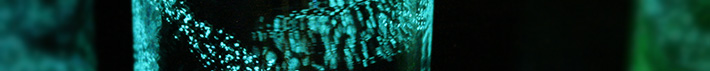 夜はトキメキを感じるグラス/琉球ガラス海蛍ロックグラスの写真03