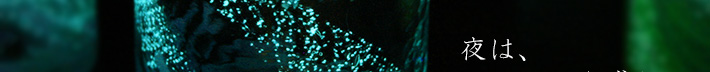 夜はトキメキを感じるグラス/琉球ガラス海蛍ロックグラスの写真04